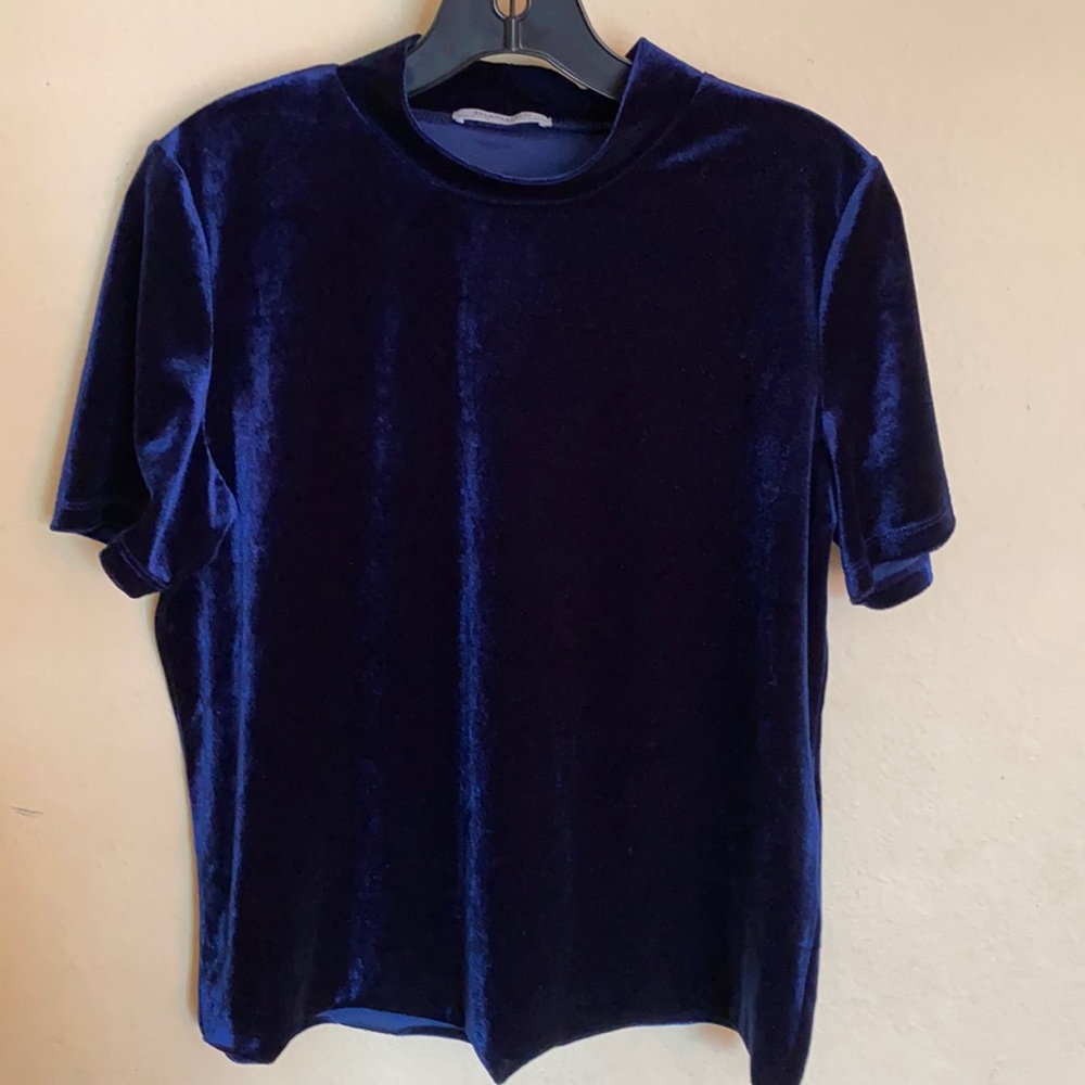 Zara Blue Velvet Mock Neck Top